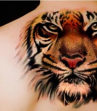 Значение тату тигра для мужчин и фотоподборка эскизов Татуировка тигра на ноге
