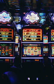 DBbet Casino